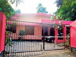 පියාට මාරක ගෙනදුන් මංගල බිත්තිය