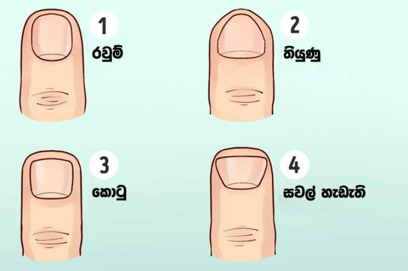 ඔබේ අතේ හැඩය අනුව ඔබේ චරිත ලක්ෂණ දැනගනිමු.