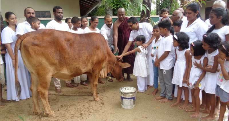 අභය දානය දීමෙන් ග්‍රහඅපල දුරුකරගත හැකියි