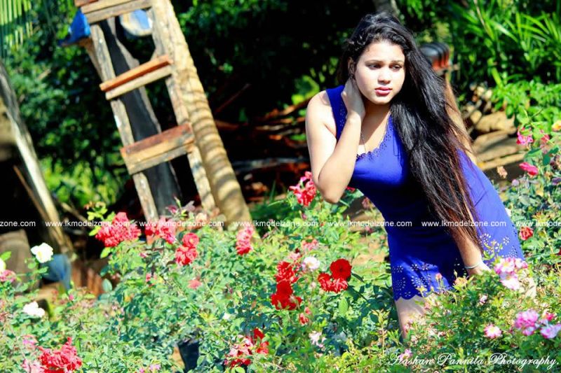 Shani Perera Hot Mix