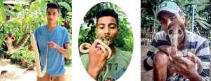 මම හතර වැනි පන්තියේ ඉගෙන ගන්නා කාලයේ ඉඳලාම ගැරඬියා හා ඇහැටුල්ලා වැනි විෂ රහිත සර්පයන් ඇල්ලුවා..